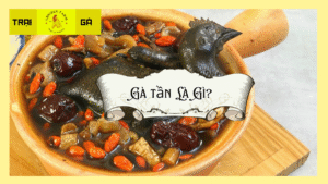 Gà Tần Là Gì?